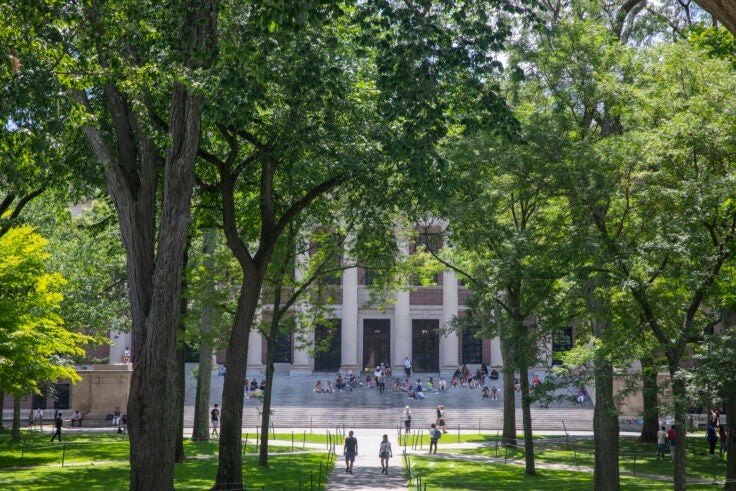 Students walking in Harvard Yard