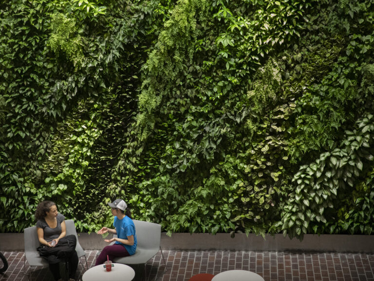 Two students talking in front of a plant wall