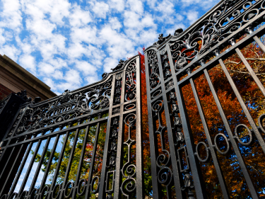 Harvard yard gate with a backdrop of foliage.