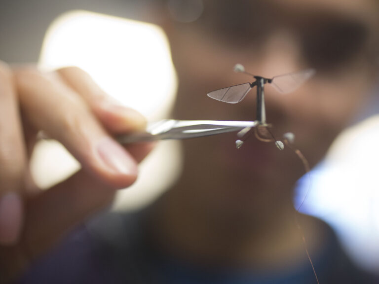 A student holding a very small robot with tweezers