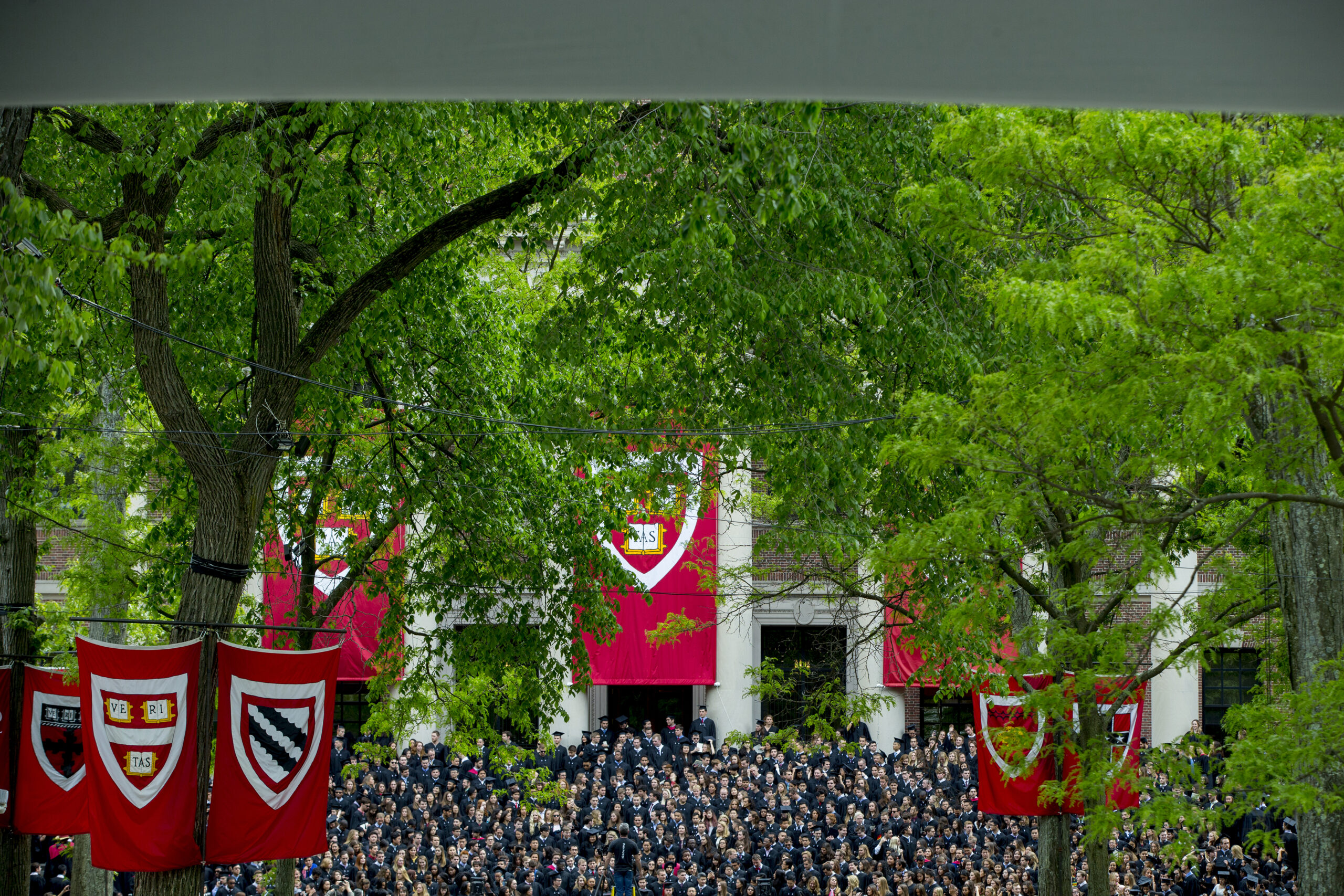 A commencement in Harvard Yard
