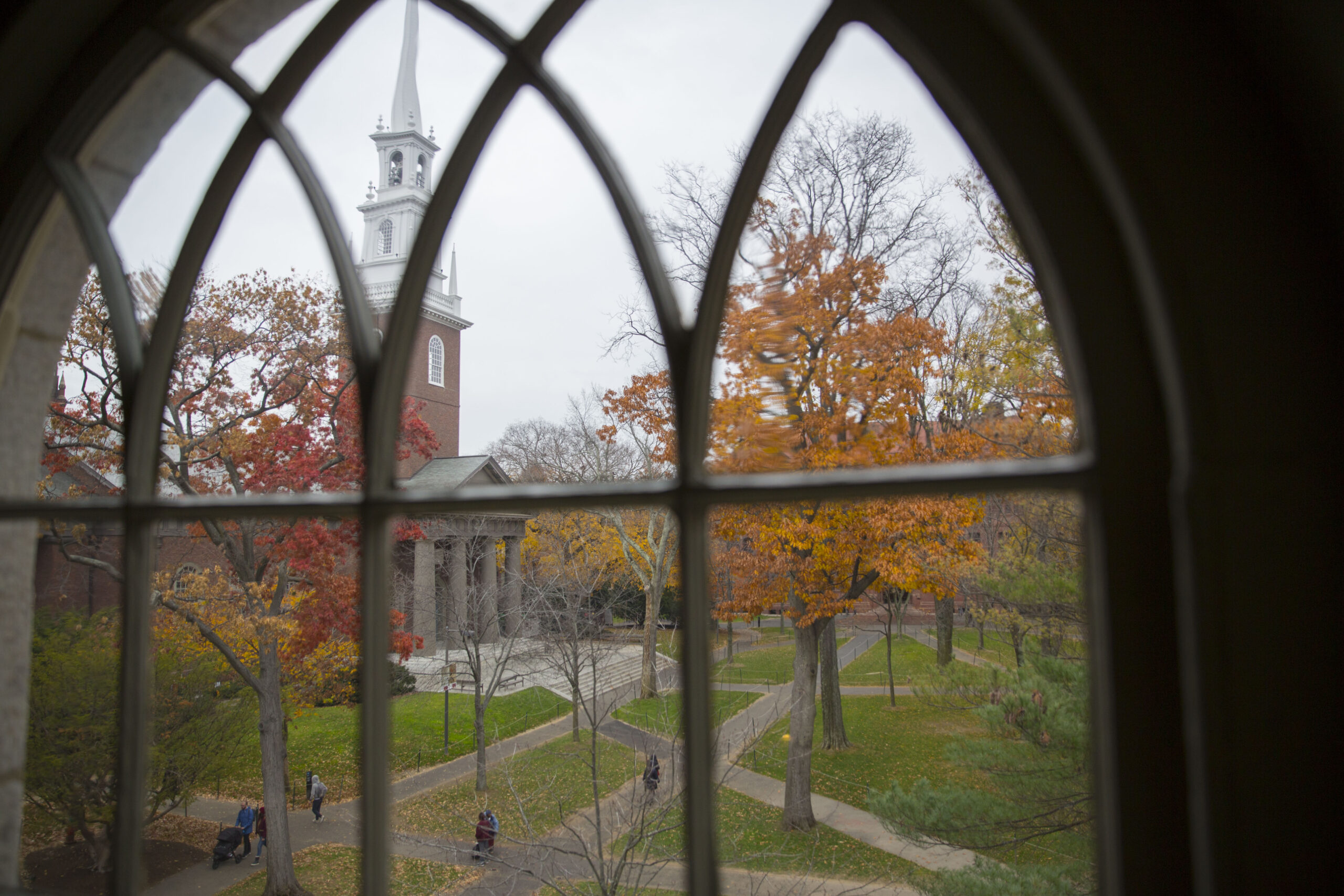 A view of Harvard Yard from a window