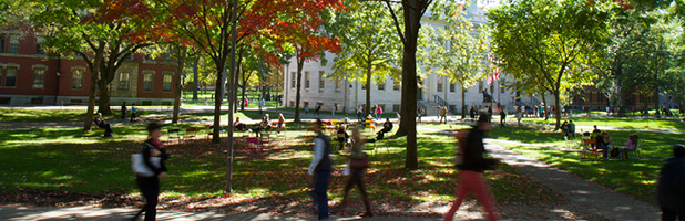 Harvard Yard