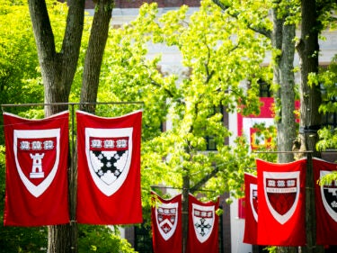 shield banners against green trees.