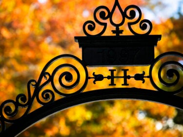 Fall leaves are on display alongside a gate decorated with an “H” at Harvard University.