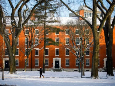 person walking across a snow-covered Harvard Yard