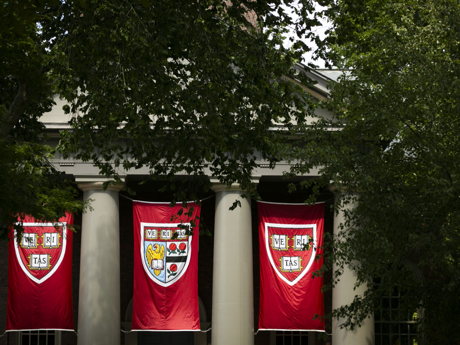 Our Path Forward Vice Provost for Special Projects