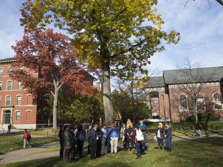 111014_autumn_014.jpg