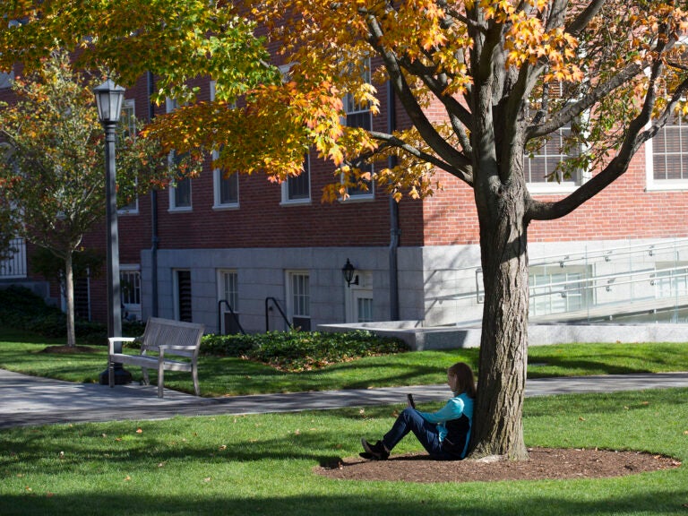 A woman sitting under a tree with autumn leaves