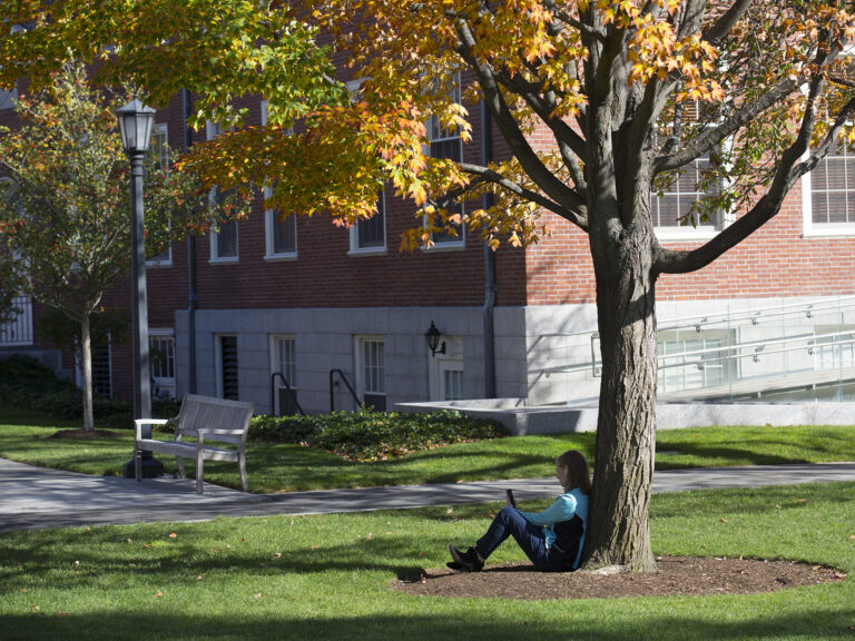 A woman sitting under a tree with autumn leaves