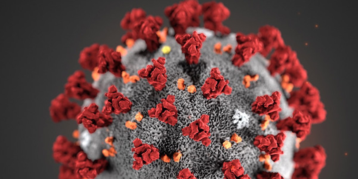 Coronavirus - Harvard University