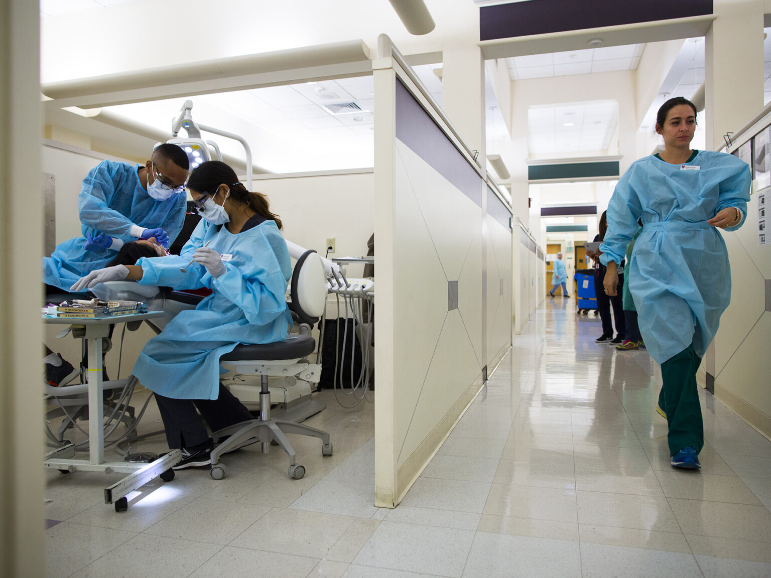 Schools Harvard University