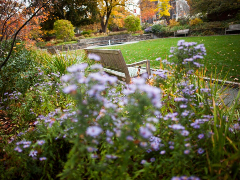 A bench surrounded by green grass and flowers.