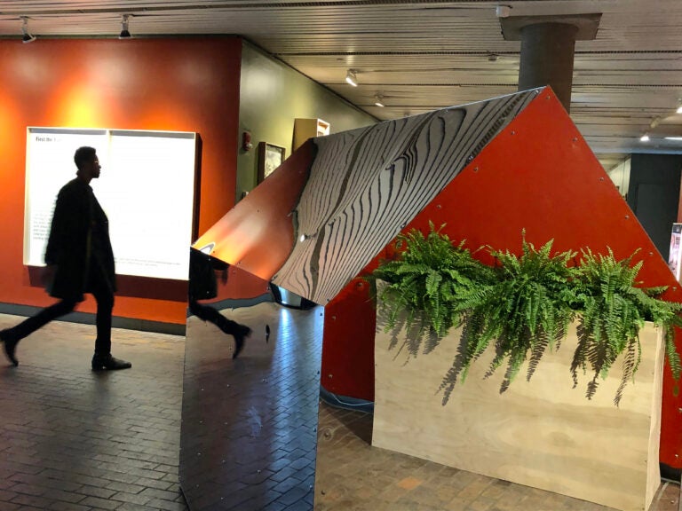 The lobby of a GSD building, lots of ferns and scultpures