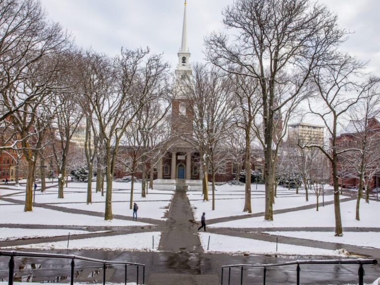 Paths in the Harvard Yard covered in snow.