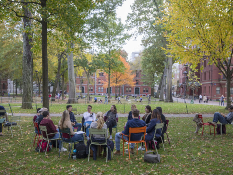 Group of students sitting on a circle on a tree-lined green campus