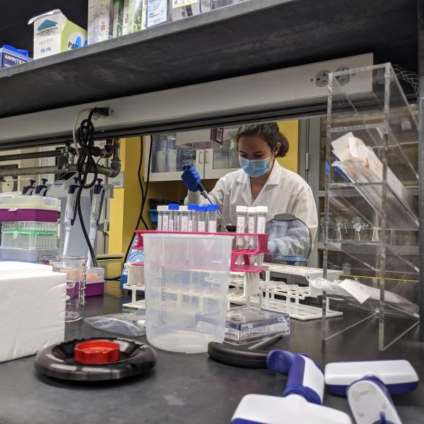 A worker in a lab 