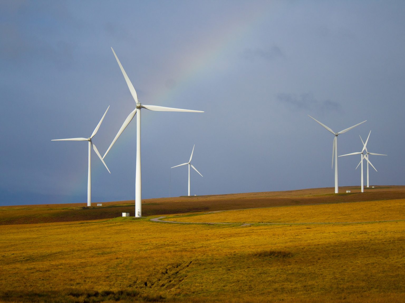 Windmills, but those big metal ones