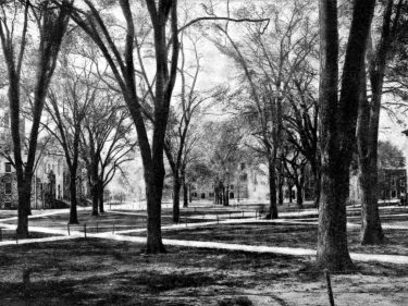 A black and white photo of Harvard Yard in 1920