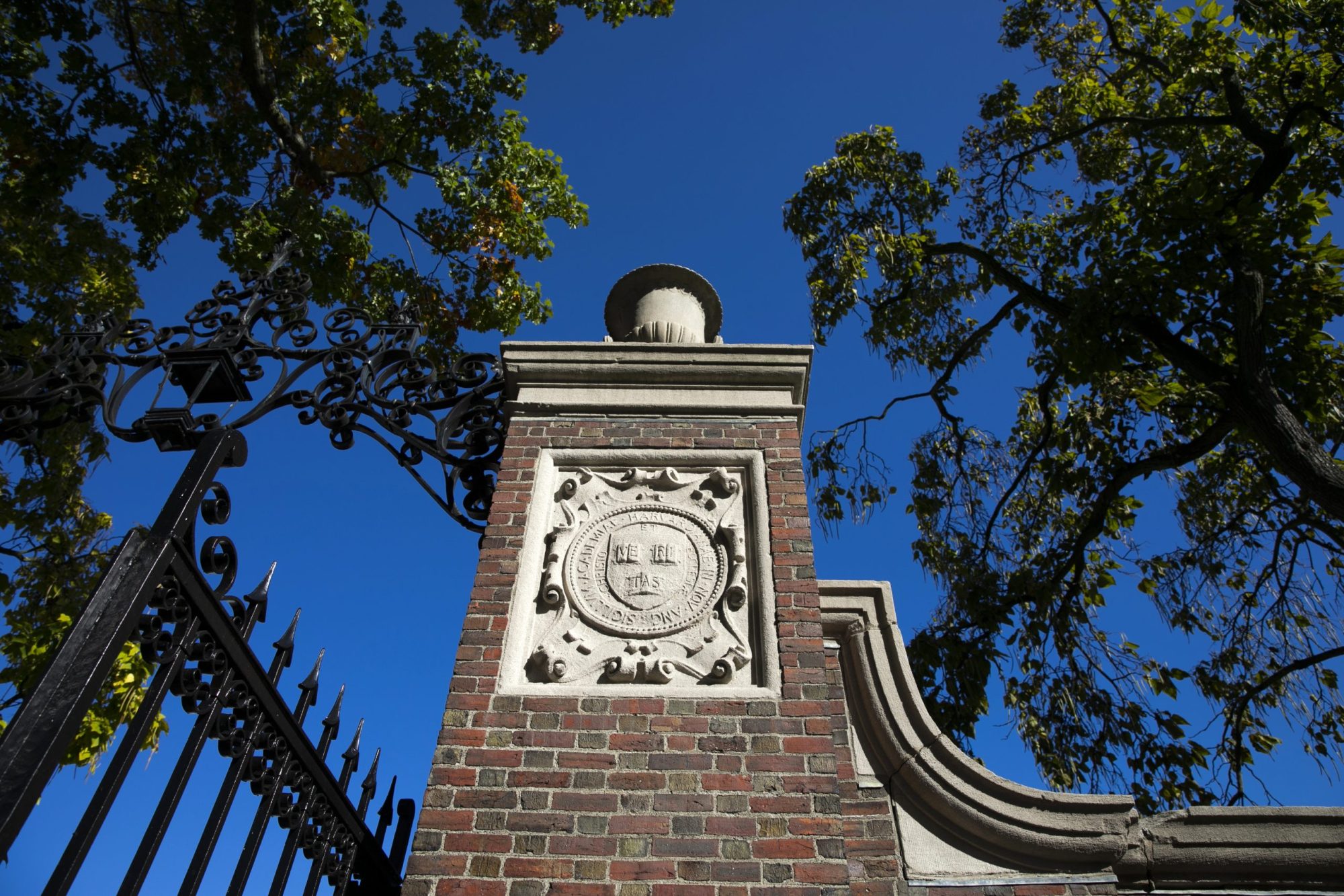 Creative Writing and Literature - Harvard University