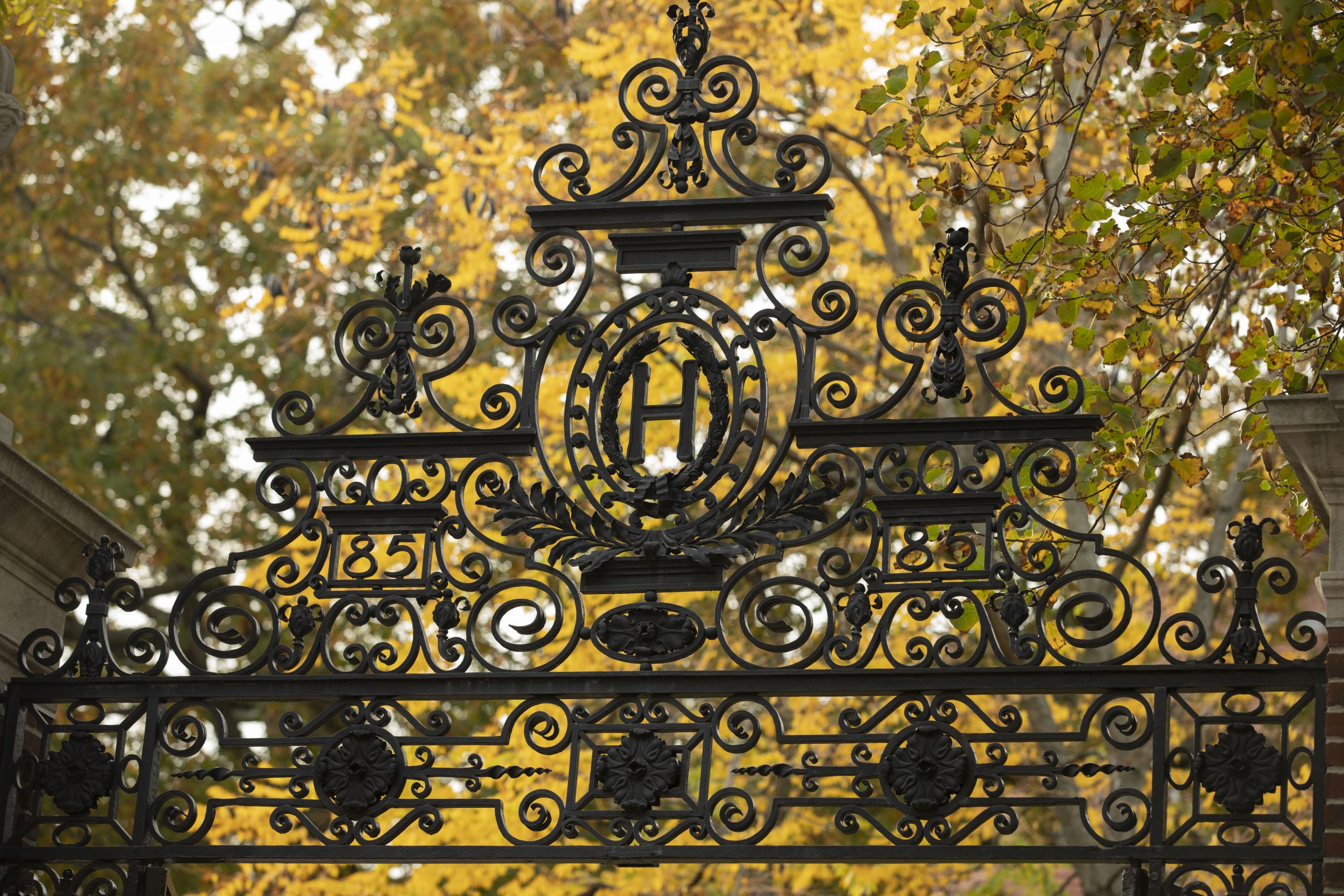 HISTORY OF HARVARD UNIVERSITY FACTS visual data 7