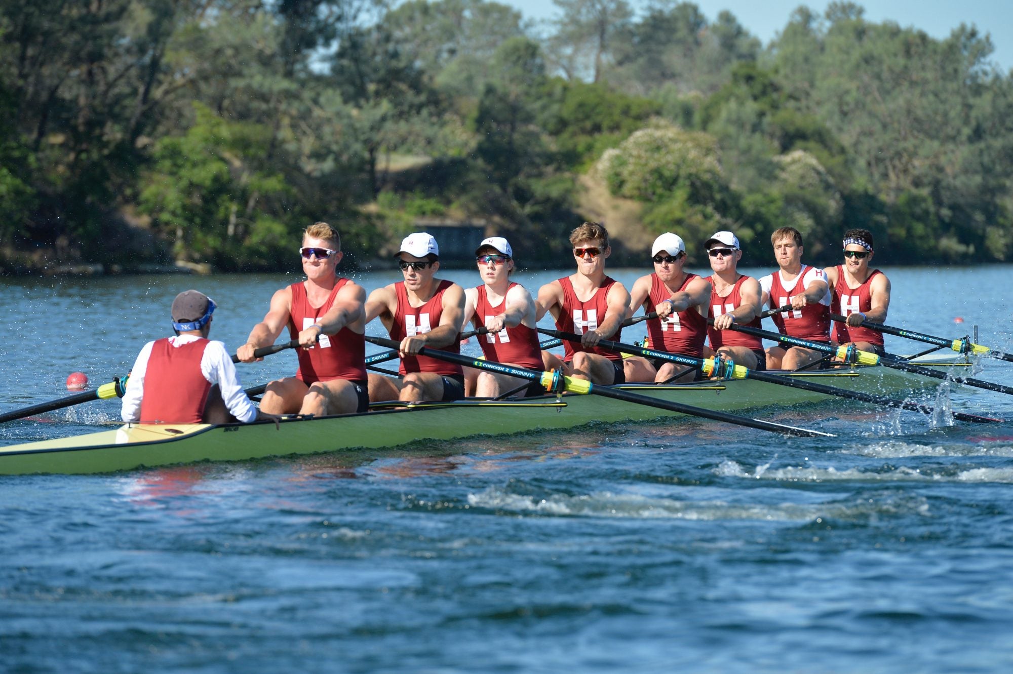 Harvard students rowing crew