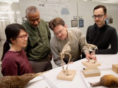 researchers standing around a skeleton of a bird