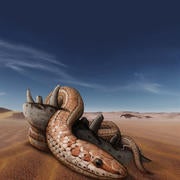 An illustration of a snake