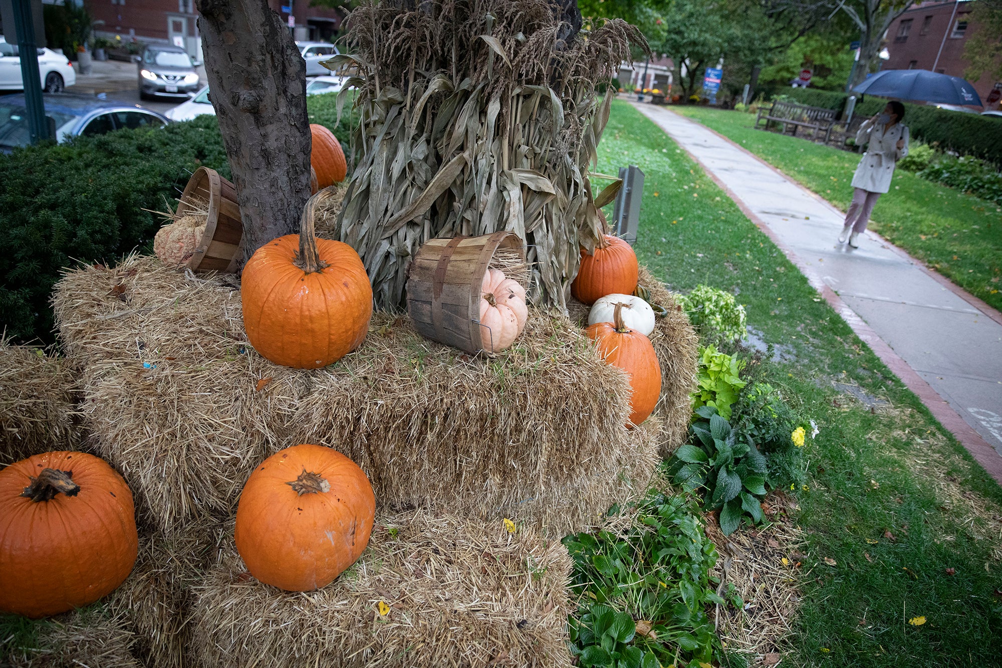 Hay bails and pumpkins next to a walkway