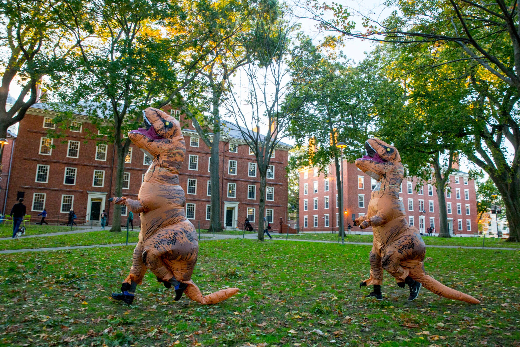 Two people in dinosaur costumes walk in Harvard Yard