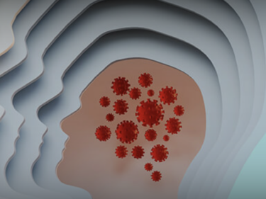 The shape of a human head drawn inside of another human head.