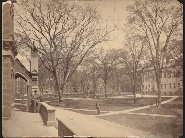 A sepia photo of the yard