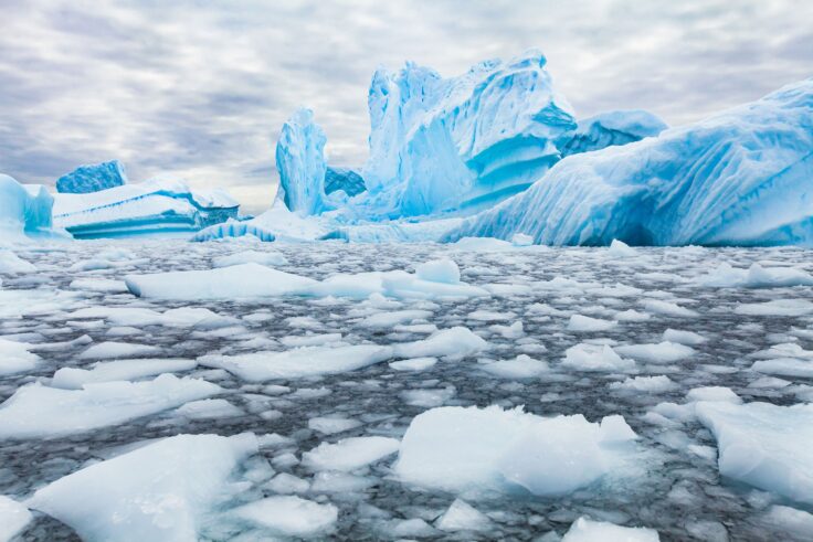 Pieces of ice float near a large glacier