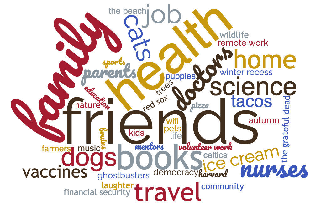 A word cloud including friends, family, health, doctors, nurses, cats, dogs, books, travel, vaccines