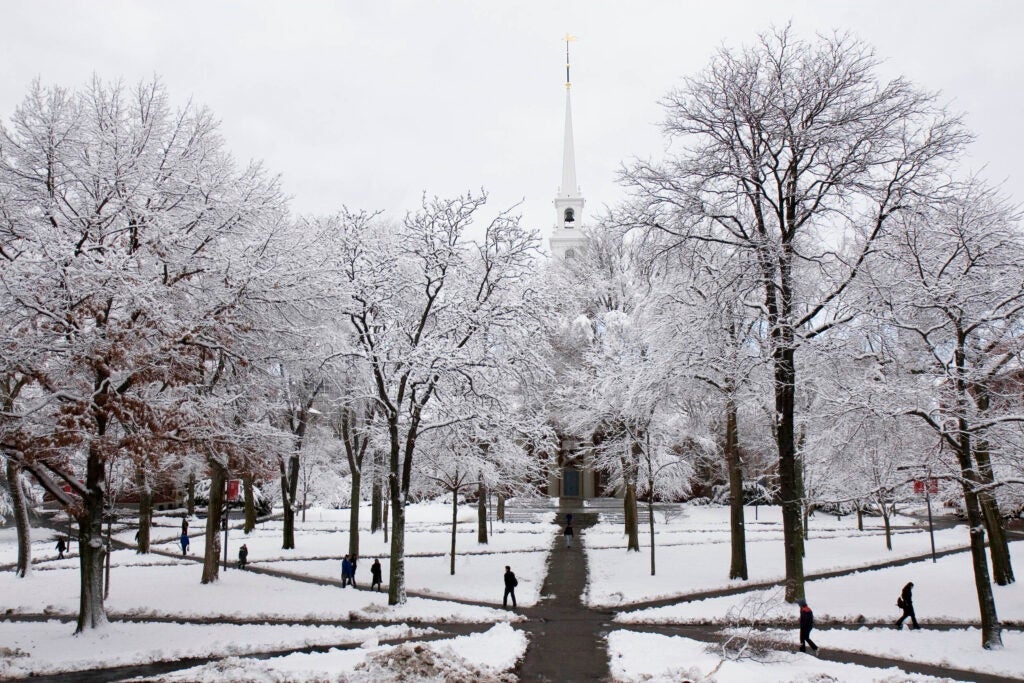 Harvard Yard covered in snow