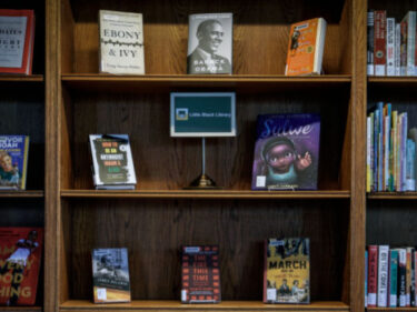 Books on bookshelves