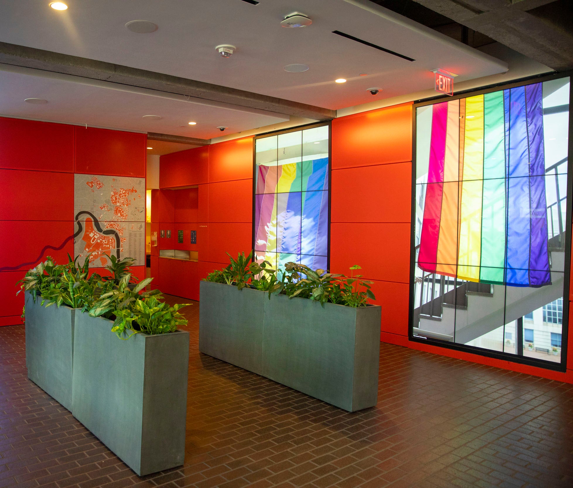 Pride flags hang in the windows in a room with plants in it