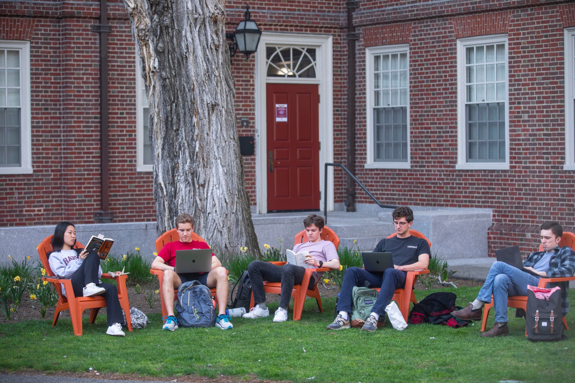 A group of students sitting in Adirondack chairs reading and studying