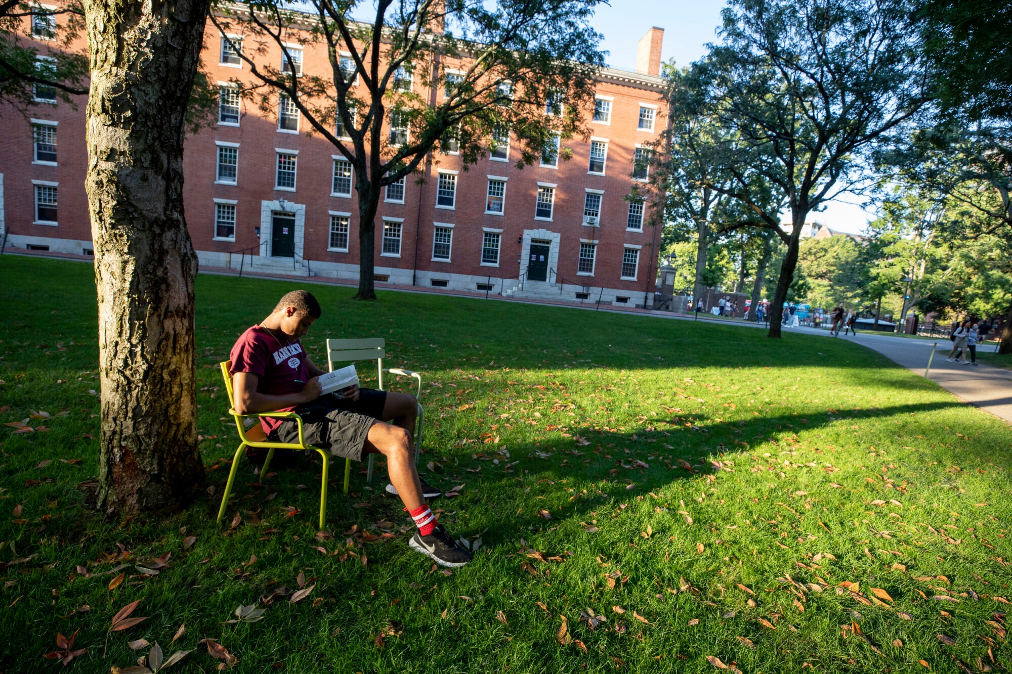 A student sits in a chair next to a tree reading a book