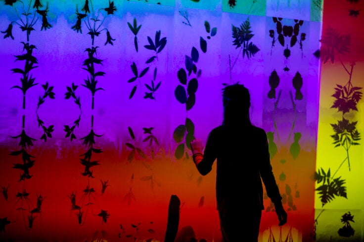 A person stands in front of a colorful exhibit with flower and plant designs