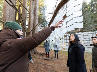 A person pointing out cards hanging from trees