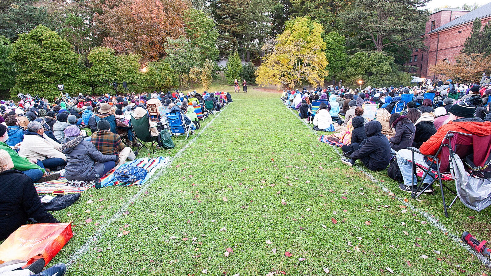 An audience watching Macbeth from the grass