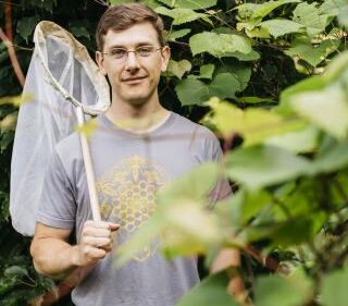 A man with a net for catching bees