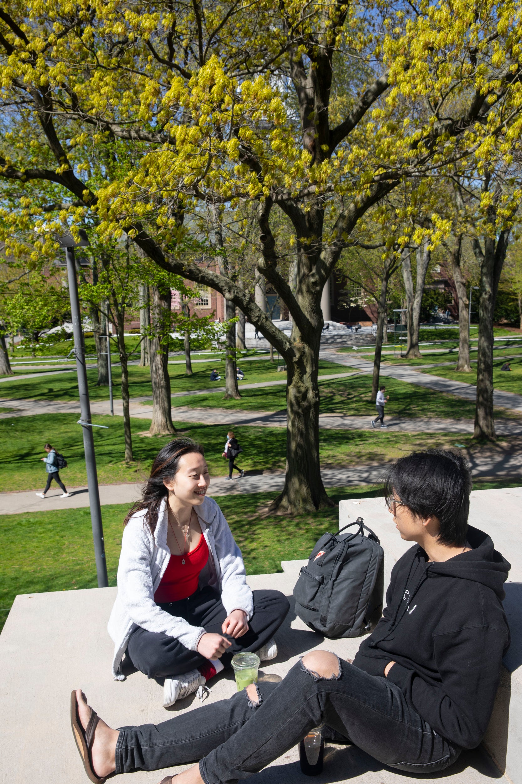 Two students sit on steps talking, with flowering trees behind them