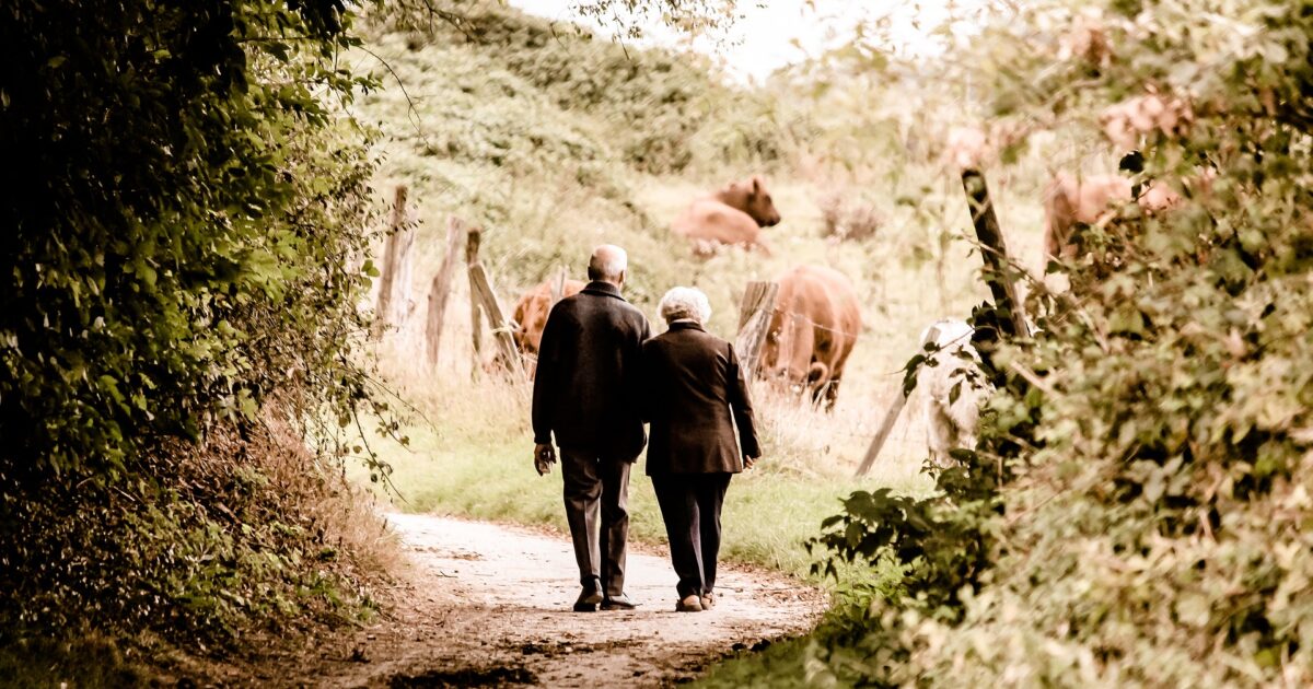 Informed Aging - Harvard University
