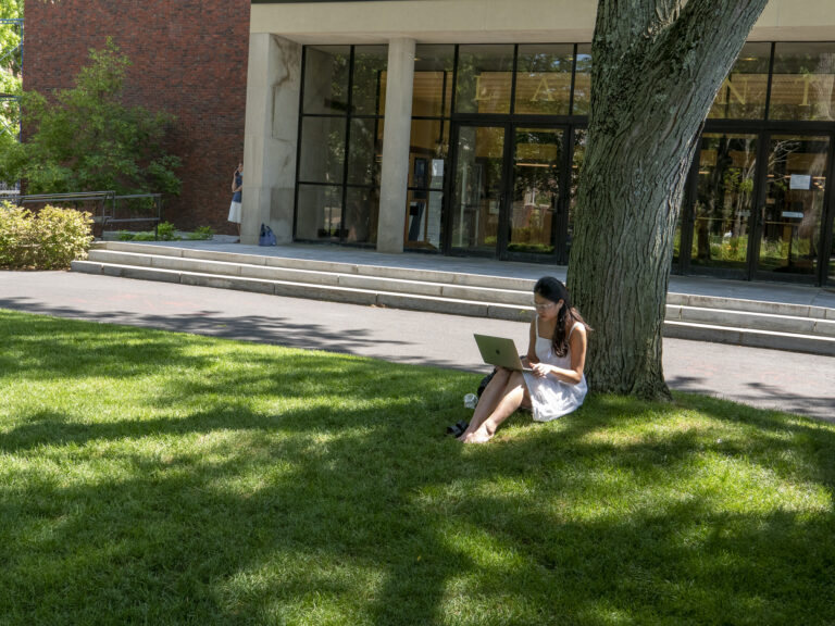 A person using a laptop under a tree