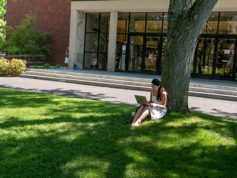 A person using a laptop under a tree