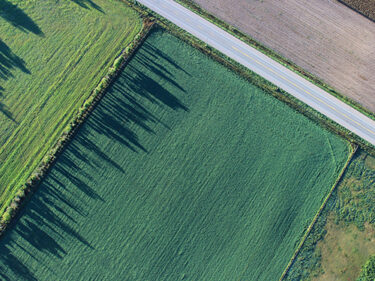 Aerial view of farmland