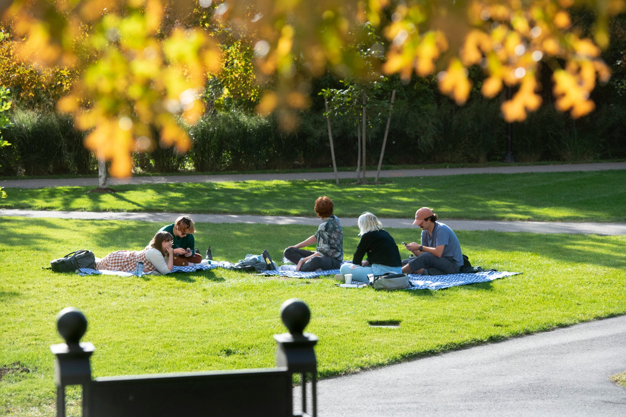 Students sit on a grassy lawn in the fall sunshine studying