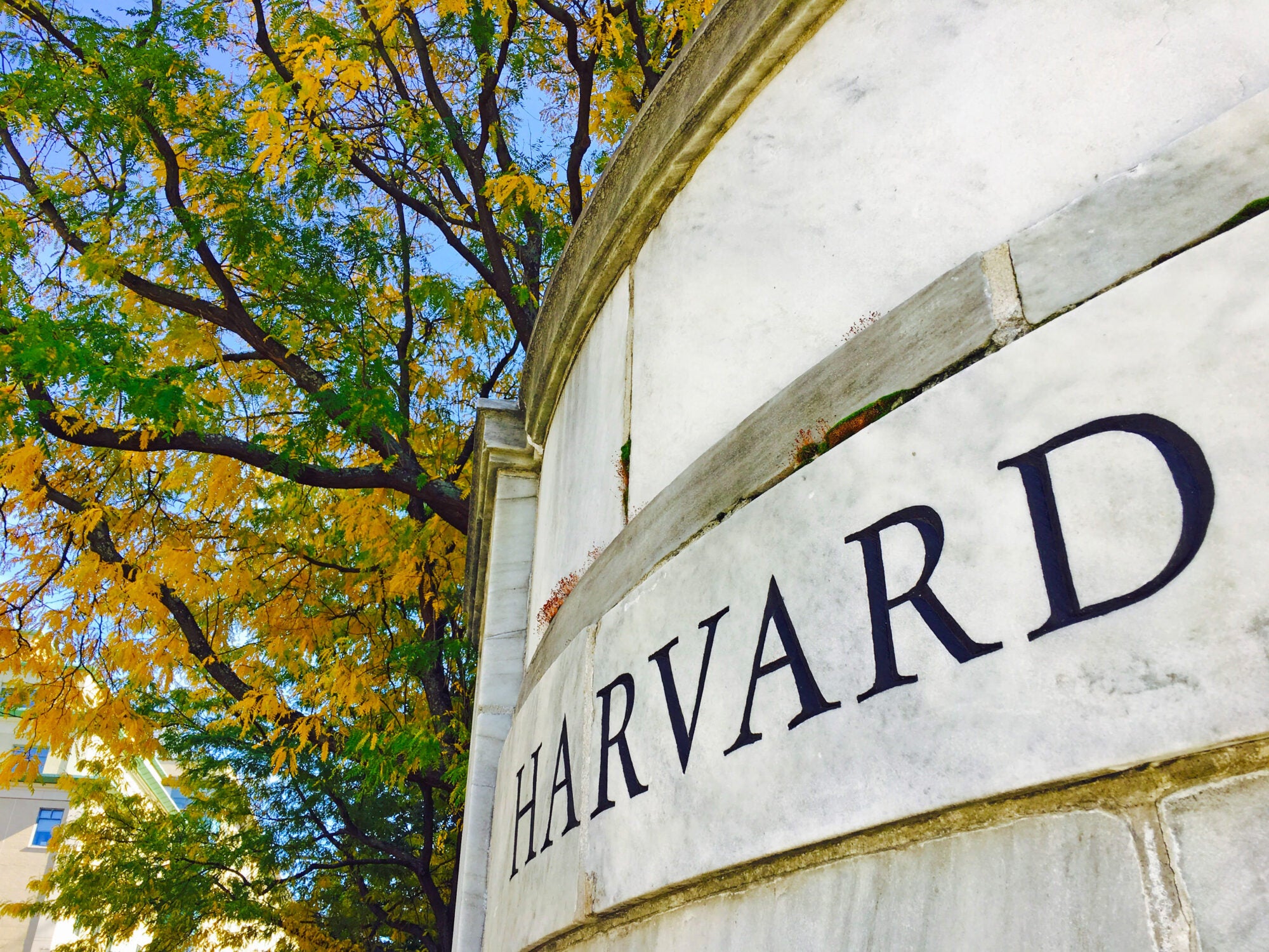 A marble wall with the word "Harvard" engraved on it with fall foliage behind it